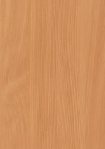 Ergonice - Tafelblad eiken beuken - Geperst hout met melamine toplaag - Formaat  140 x 80 cm