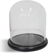 Grote Ronde Stolp-Vitrine | H23cm x Ø20 cm | Glas | Transparant - Zwart