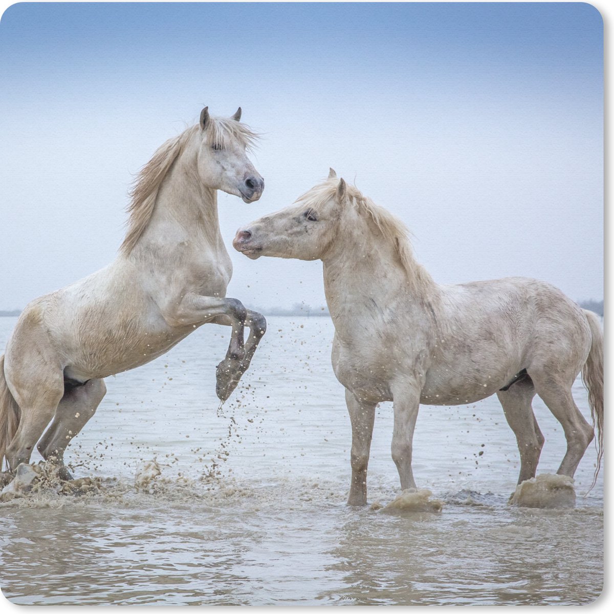 Muismat 20x20 cm - Mousepad Twee paarden in het water in Camargue - Muismatten