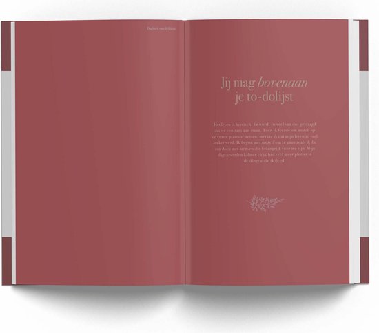 Open dagboek met tekst. De linkerpagina bevat de titel 'Voorwoord' en bordeauxrode tekst. De rechterpagina heeft een perzikroze achtergrond met bordeauxrode tekst.