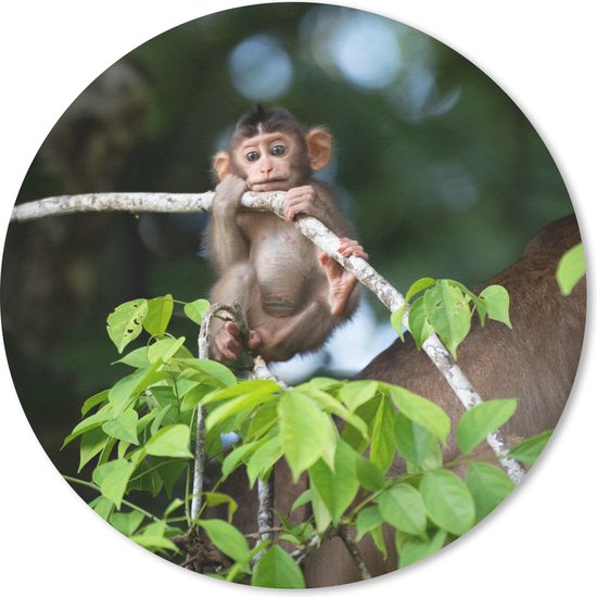 Ronde muismat met jonge aap afbeelding