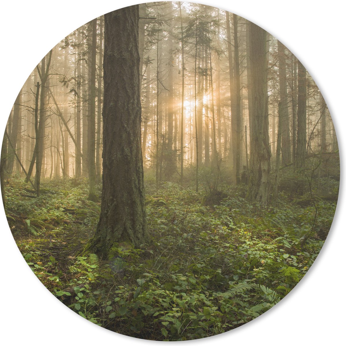 Muismat rond 40x40 cm - Mousepad Bos - Zon - Licht - Ronde muismatten