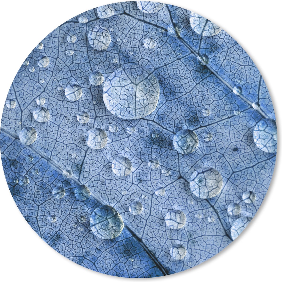 Muismat rond 20x20 cm - Mousepad Druppels op een blauw blad - Ronde muismatten