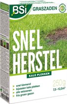 BSI - Graszaad Snel Herstel - 250 g voor 12,5 m²