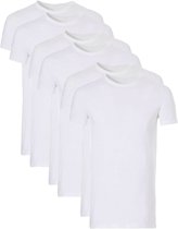 6-pack tshirts ronde hals Ten Cate wit