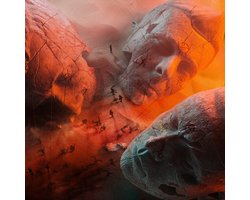 Will Of The People (CD)