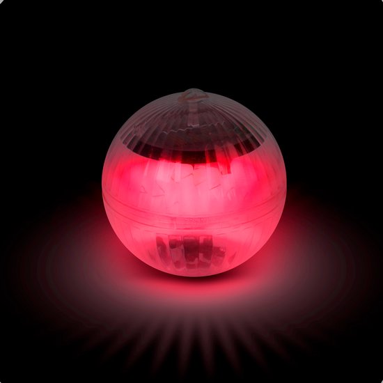 619863_5