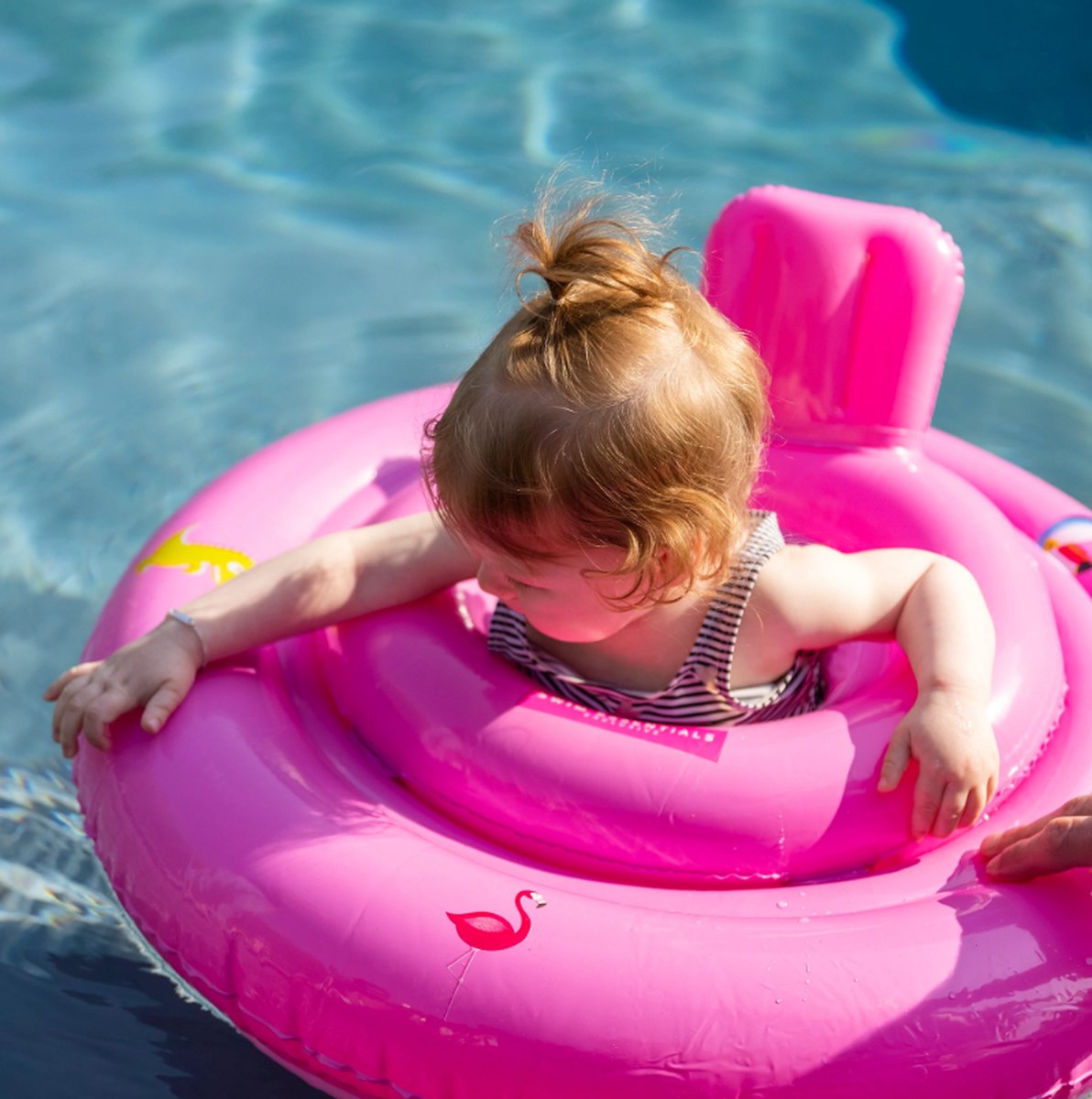 Little koekies Baby Float - zwemzitje - Roze 0-1 jaar - kraamcadeau -  babyzwemmen 0-11 kg | bol.com