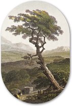 Wandovaal Sicilië Natuur - WallCatcher | Kunststof 80x120 cm | Ovalen schilderij | Muurovaal Sicilian Tree op Forex