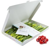 Bloomgift | Gele tulpen | Brievenbus tulpen + Tony's Paaseitjes Melk (extra groot)