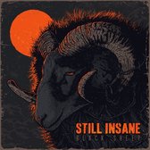 Still Insane - Black Sheep (CD)