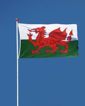 Welse Vlag - Wales Vlag - 90x150cm - Wales Flag - Originele Kleuren - Sterke Kwaliteit Incl Bevestigingsringen - Hoogmoed Vlaggen