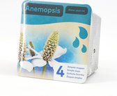 Moerings - Droogverpakking vijverplant - Anemopsis