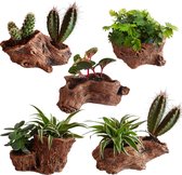 StamPot - Set van 5 Bloempotten voor binnen - Steen - Natuurlijke Look - Holle Boomstam
