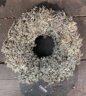 Mos Krans bonsai| GREY | 30 cm