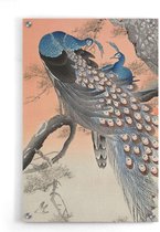 Walljar - Ohara Koson - Two Peacocks On Tree Branch - Muurdecoratie - Plexiglas schilderij