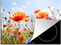 Een inductiebeschermer met een afbeelding van klaprozen en korenbloemen op een zonnige dag.