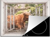 KitchenYeah® Inductie beschermer 71x52 cm - Schotse hooglander - Doorkijk - Dier - Natuur - Kookplaataccessoires - Afdekplaat voor kookplaat - Inductiebeschermer - Inductiemat - Inductieplaat mat
