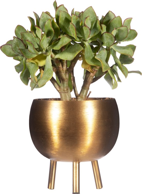 sass&belle bloempot goud mat metaal , op pootjes . Set van 2 stuks
