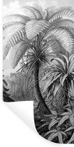 Muurstickers - Sticker Folie - Planten - Zwart wit - Design - Illustratie - Botanisch - 20x40 cm - Plakfolie - Muurstickers Kinderkamer - Zelfklevend Behang - Zelfklevend behangpapier - Stickerfolie