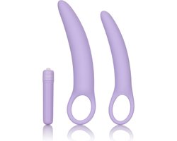 CalExotics - Isabelle Set of 2 Dilators - Dilator Vagina Paars