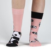 Colorcool Dames Sokken | Cutie Panda Socks | Katoen  | 36-40 | Normale boord - Naadloos - Geen Padding