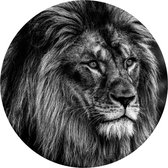 Behangcirkel Leeuw | ⌀ 50 cm | Zelfklevend | Wanddecoratie | Ronde Muursticker | Muurcirkel Binnen