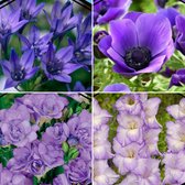 50x Bollen - Mix "Blue Collection" - Anemone, Freesia, Gladiolus, Brodiaea - Blauwe Bloemen - Bloeiende Vaste Planten - Bollen meerjarig winterhard