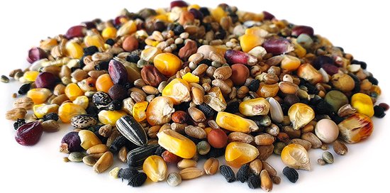 Gros tas de graines mélangées avec maïs, graines de tournesol, pois chiches et baies.