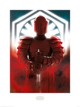 Pyramid Star Wars The Last Jedi Elite Guard Defend Kunstdruk 60x80cm Poster - 60x80cm