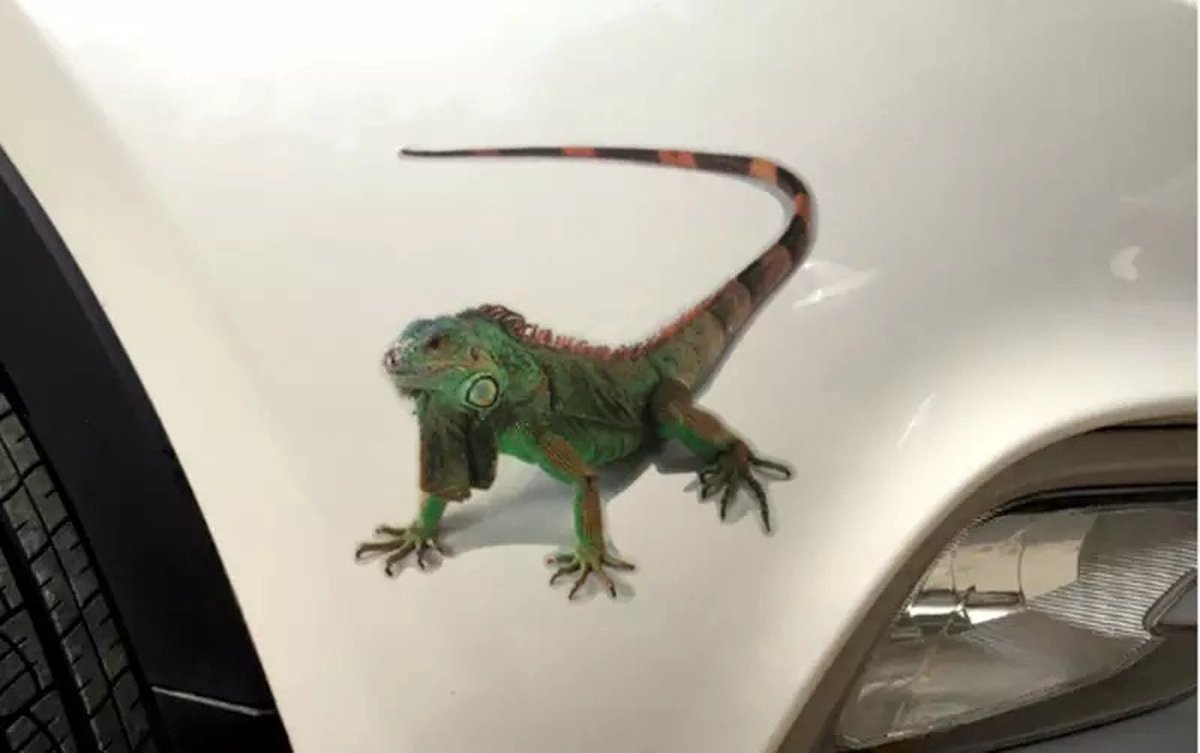 Pak Van 2 3D Geckoes Auto Decals Metaal Auto Stickers Badges Emblemen Pak Van 2 3D Geckoes Auto Decals Metaal Auto Stickers Badges Emblemen
