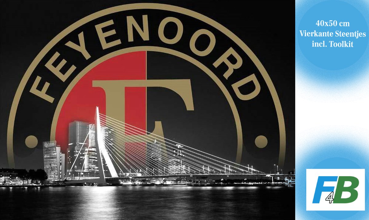 F4B Feyenoord bij Erasmusbrug 40x50 cm | Vierkante Steentjes | Voetbal | Rotterdam | Steden | Diamond Painting Pakket Volwassenen | Volledig dekkend