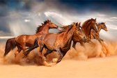 Fotobehang Paarden Rennen In De Woestijn - Vliesbehang - 300 x 210 cm