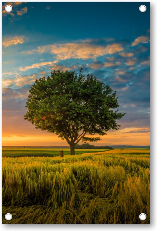 Boom onder een bewolkte hemel tijdens een zonsondergang - Tuinposter 60x90 - Wanddecoratie - Besteposter - Landschap - Natuur