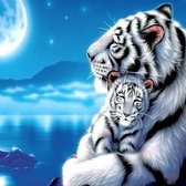 Lukana® Tijger met baby tijger Diamond painting - Vierkante steentjes - 40x40cm - 40 kleuren! - 5D - compleet pakket - ontspannen - kinderen - volwassenen
