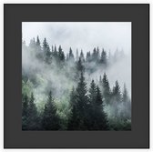 Misty Forest - Foto op Akoestisch paneel - 80 x 80 cm