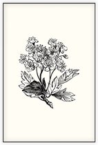 Meidoorn zwart-wit (Hawthorn) - Foto op Akoestisch paneel - 100 x 150 cm