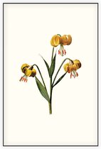 Turkse Lelie (Martagon Lily White) - Foto op Akoestisch paneel - 60 x 90 cm