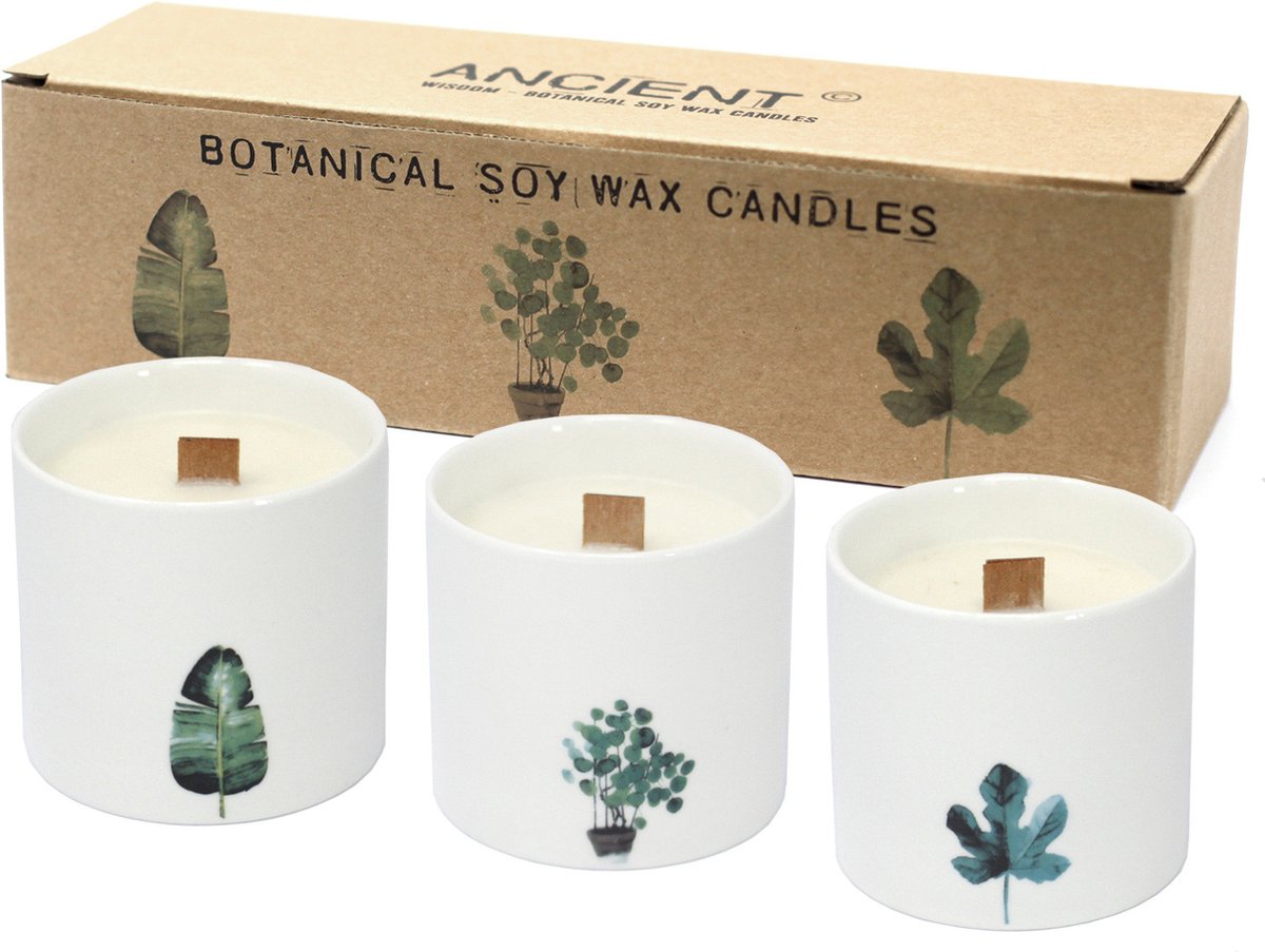 Set Grote Botanische Geurkaarsen - Soy Wax - Viooltjes - Keramiek Potten