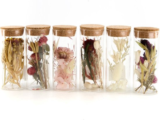 dijk natural collections Pot glas  met droogbloemen Ø5x12.5cm (1 stuk) assorti