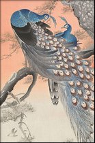 Walljar - Ohara Koson - Two Peacocks On Tree Branch - Muurdecoratie - Poster