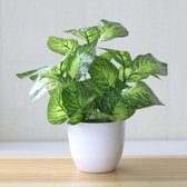 Pico NL® Kunstplant Bonsai - Kunstplant voor Binnen met Pot - Bonsai Boompje - 22 x 20 cm
