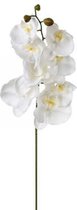 Orchideestam - hoogte 108 cm - Witte orchidee tak - decoratieve orchidee