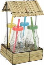 drinkflessen met rietje 500 ml glas 5-delig
