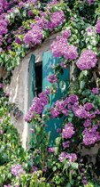 PB-Collection - Tuinschilderij - Deur bloem - 50x70cm - Bloemen Rose - Luiken - Tuin decoratie - Schilderij buiten - Canvas - Tuin poster - Tuinposter