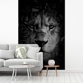 Behang - Fotobehang Close-up van een leeuw met bladeren in de jungle - zwart wit - Breedte 145 cm x hoogte 220 cm