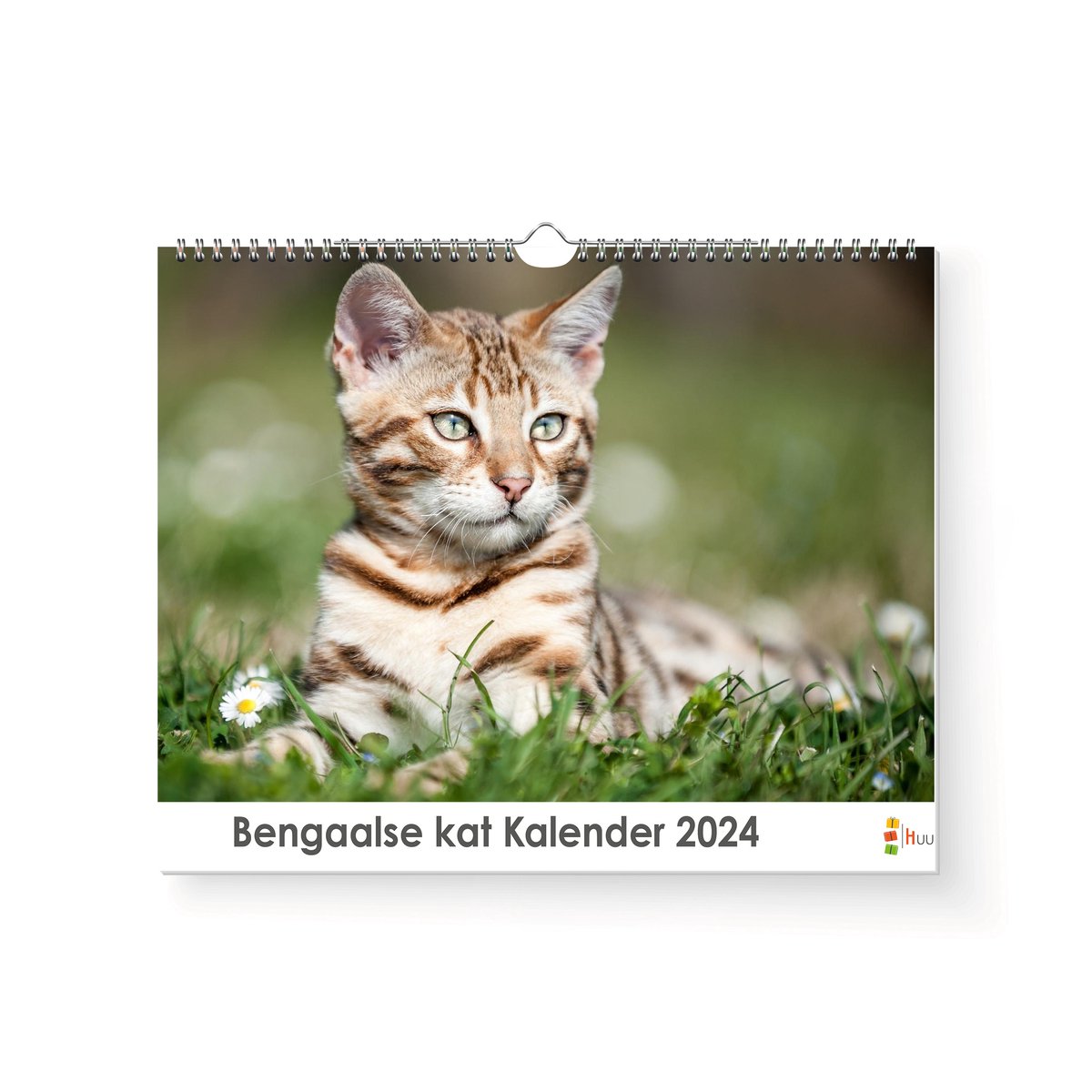 XL 2024 Kalender - Jaarkalender - Bengaalse Kat