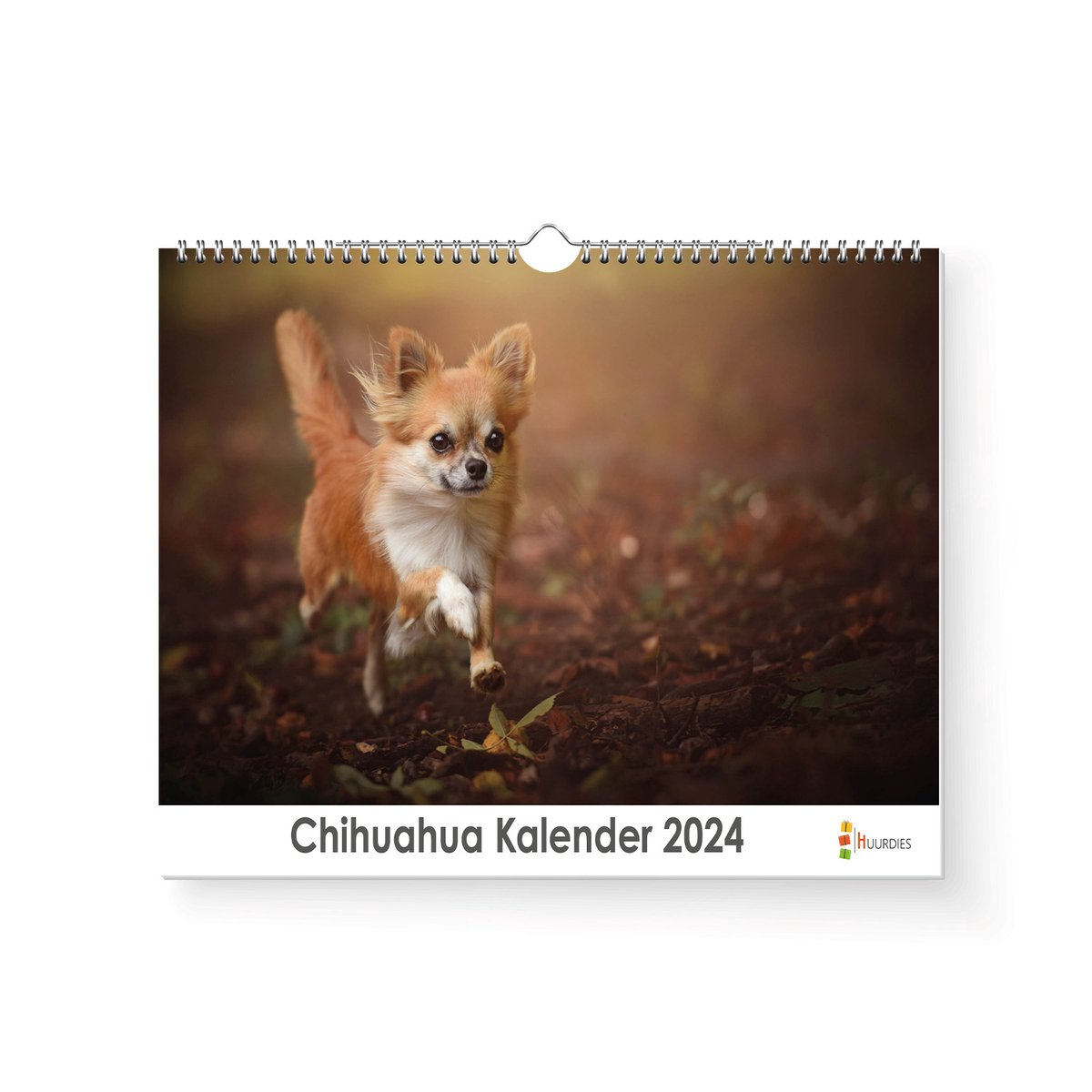 XL 2024 Kalender - Jaarkalender - Chihuahua
