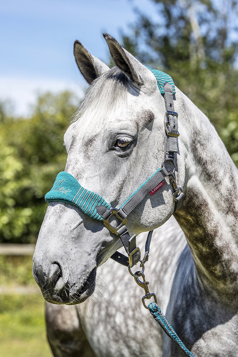 Lemieux Halsterset Vogue Grijs-turquoise - paard