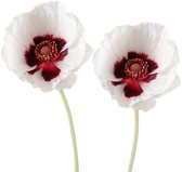 Viv! Home Luxuries Klaproos - zijden bloem - wit rood - 2 stuks - 70cm